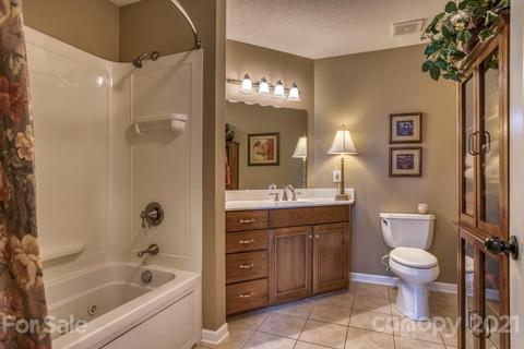 390 Coopers Trce, Mill Spring, NC 28756 photo 38