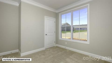 4365 Riverton Loop, Denver, NC 28037 photo 4