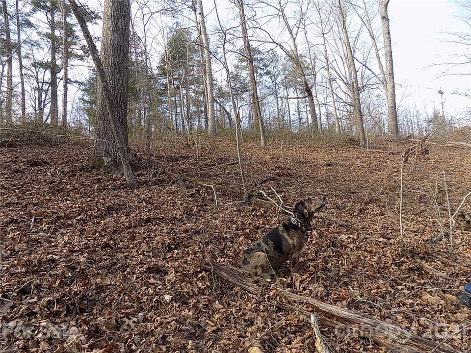  359 Byers Rd, Forest City, NC 28043 photo 17