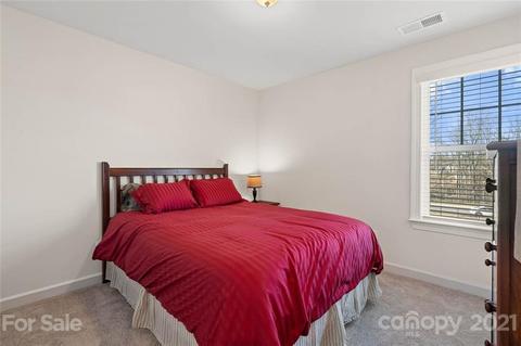 16708 Setter Point Ln, Davidson, NC 28036 photo 30
