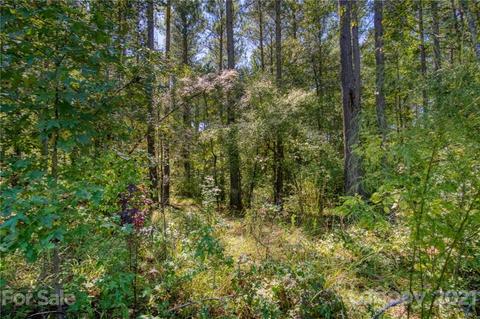 4046 Persimmon Rd, Lancaster, SC 29720 photo 3