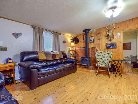 47 Lofty Pine Ln, Mills River, NC 28759 photo 5