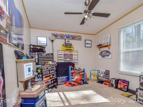 47 Lofty Pine Ln, Mills River, NC 28759 photo 22