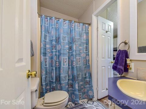 47 Lofty Pine Ln, Mills River, NC 28759 photo 21