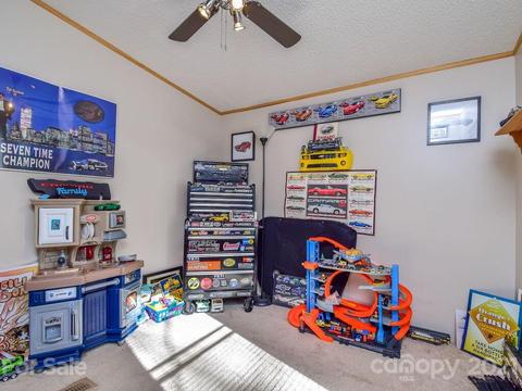 47 Lofty Pine Ln, Mills River, NC 28759 photo 23