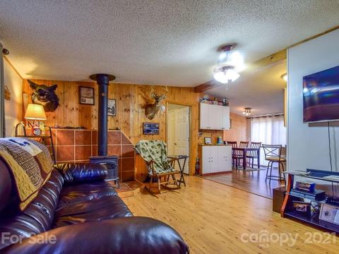 47 Lofty Pine Ln, Mills River, NC 28759 photo 4