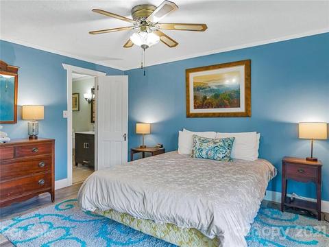 49 Weeping Cherry Forest Rd, Fairview, NC 28730 photo 23