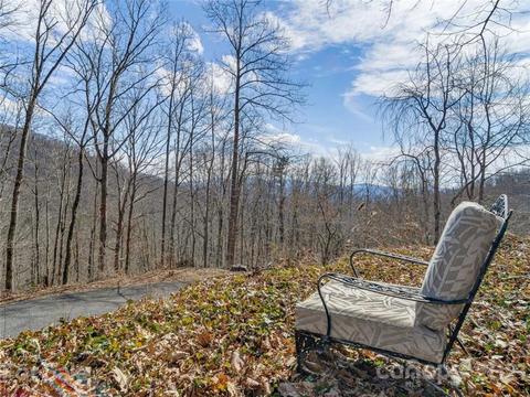 49 Weeping Cherry Forest Rd, Fairview, NC 28730 photo 34