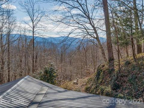 49 Weeping Cherry Forest Rd, Fairview, NC 28730 photo 44