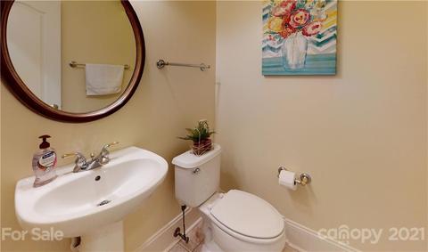 439 Ohenry Ave, Davidson, NC 28036 photo 8