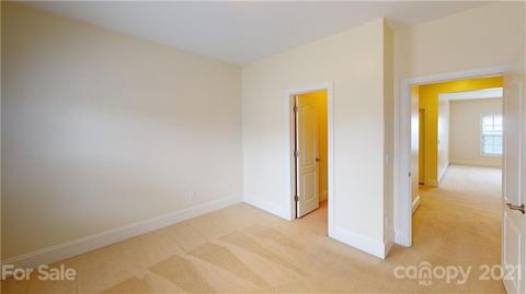 439 Ohenry Ave, Davidson, NC 28036 photo 29