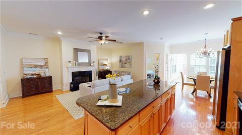 439 Ohenry Ave, Davidson, NC 28036 photo 13