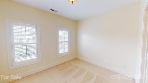 439 Ohenry Ave, Davidson, NC 28036 photo 27