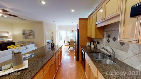 439 Ohenry Ave, Davidson, NC 28036 photo 12