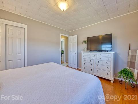 424 Phillipsville Loop, Canton, NC 28716 photo 18