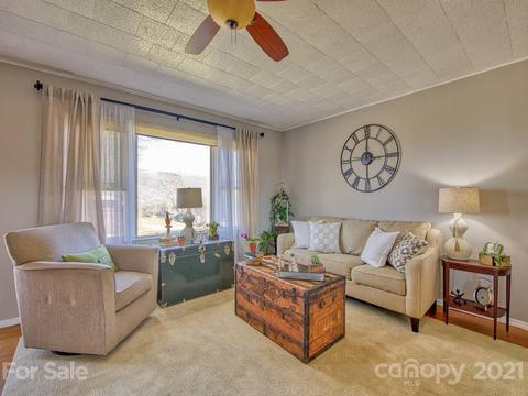 424 Phillipsville Loop, Canton, NC 28716 photo 12