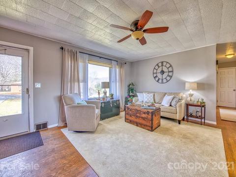 424 Phillipsville Loop, Canton, NC 28716 photo 10