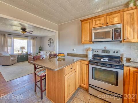 424 Phillipsville Loop, Canton, NC 28716 photo 16