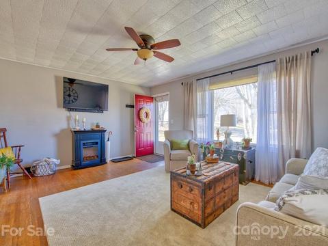 424 Phillipsville Loop, Canton, NC 28716 photo 11