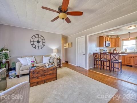 424 Phillipsville Loop, Canton, NC 28716 photo 9