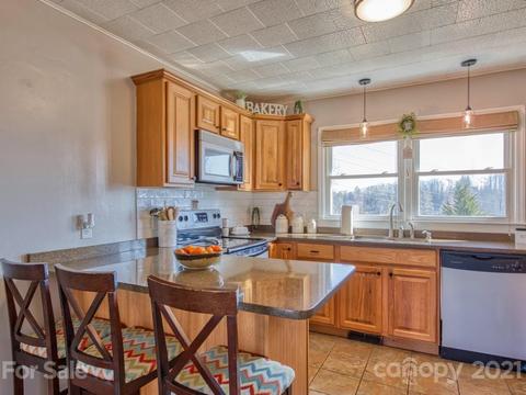 424 Phillipsville Loop, Canton, NC 28716 photo 13