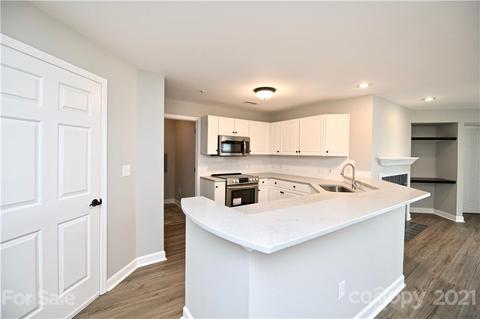 17810 Half Moon Ln #E, Cornelius, NC 28031 photo 7