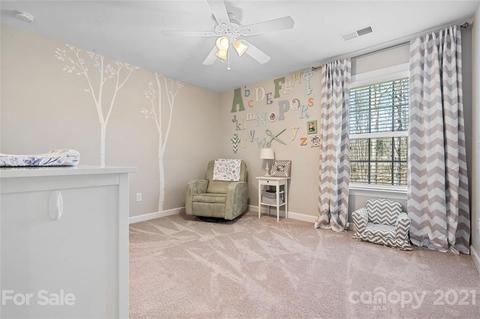 3299 Basalt Pl, Davidson, NC 28036 photo 15