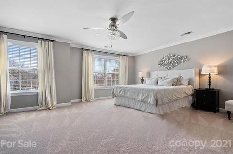 3299 Basalt Pl, Davidson, NC 28036 photo 9