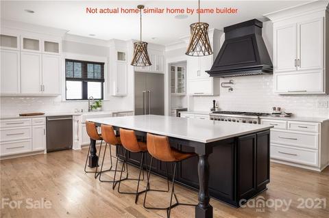 269 Conroy Ave, Davidson, NC 28036 photo 8