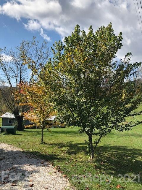 154 Dula Rd, Spruce Pine, NC 28777 photo 8