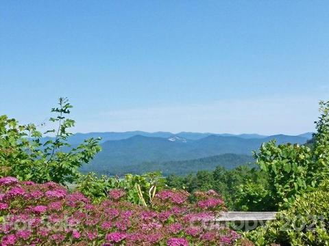 95 Dalonigei Ct, Brevard, NC 28712 photo 46