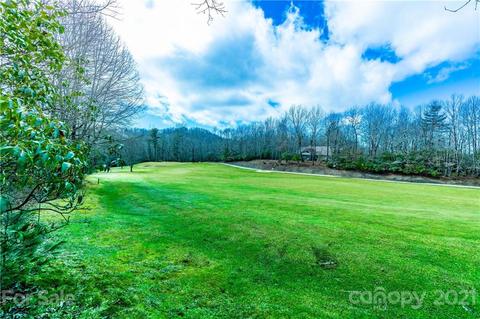 95 Dalonigei Ct, Brevard, NC 28712 photo 7