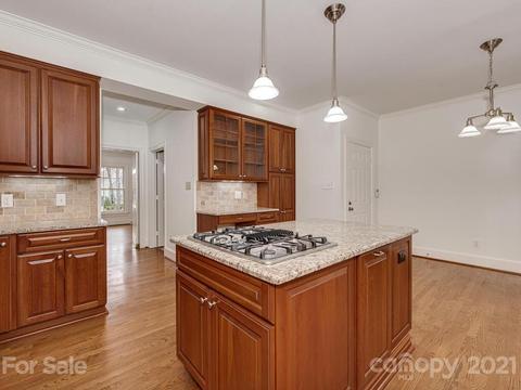 18241 River Ford Dr, Davidson, NC 28036 photo 10