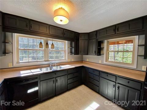 14 Shadow Brook Dr, Flat Rock, NC 28731 photo 17