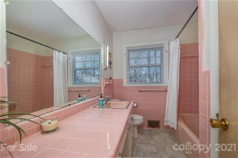 150 Broadway Ave, Tryon, NC 28782 photo 19