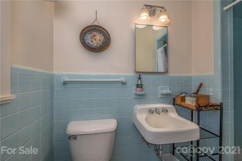 150 Broadway Ave, Tryon, NC 28782 photo 16