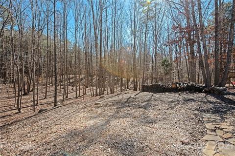11663 Hidden Forest Ln, Davidson, NC 28036 photo 36
