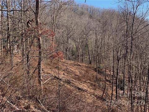 000 Parris Branch Rd, Sylva, NC 28779 photo 4