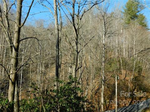 000 Parris Branch Rd, Sylva, NC 28779 photo 10