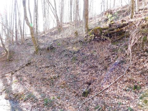 000 Parris Branch Rd, Sylva, NC 28779 photo 11