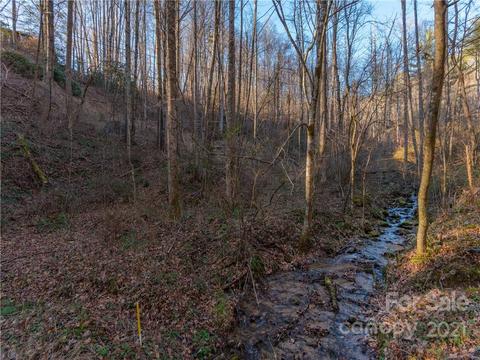 000 Parris Branch Rd, Sylva, NC 28779
