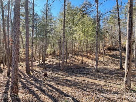 7 Kreston Dr, Marshall, NC 28753 photo 30
