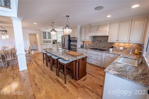 20512 Pointe Regatta Dr, Cornelius, NC 28031 photo 22