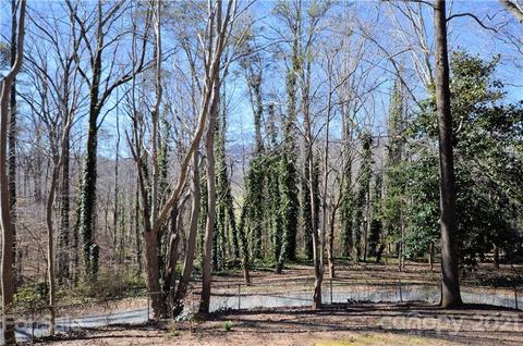 200 Bradshaw Rd, Tryon, NC 28782 photo 21
