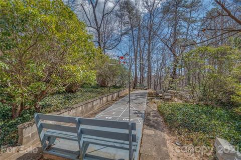 172 Wilderness Rd, Tryon, NC 28782 photo 37