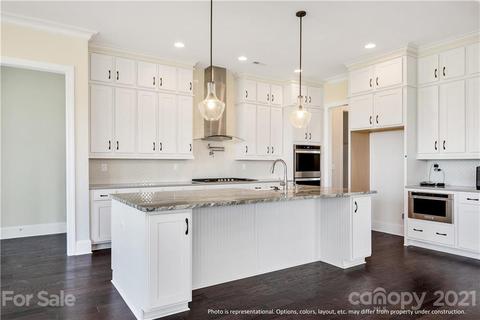 183 Riverstone Dr, Davidson, NC 28036 photo 9