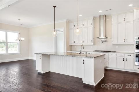 176 Riverstone Dr, Davidson, NC 28036 photo 4