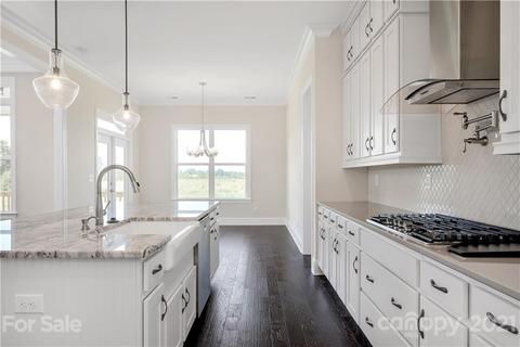 176 Riverstone Dr, Davidson, NC 28036 photo 6