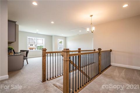 176 Riverstone Dr, Davidson, NC 28036 photo 22
