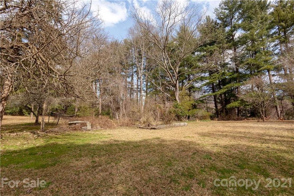  Springside Road, Asheville, NC 28803 photo 8